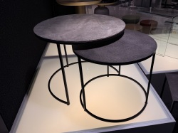 Capra 2089